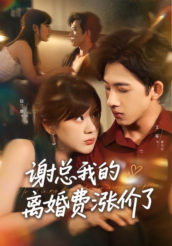 谢总我的离婚费涨价了封面图